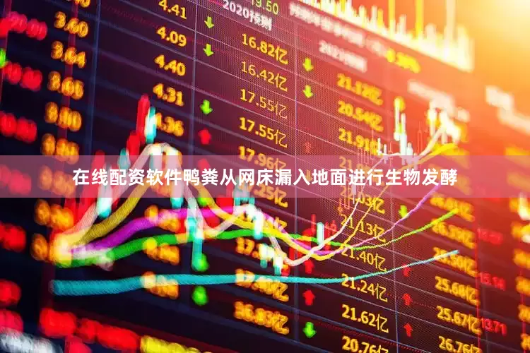 在线配资软件鸭粪从网床漏入地面进行生物发酵